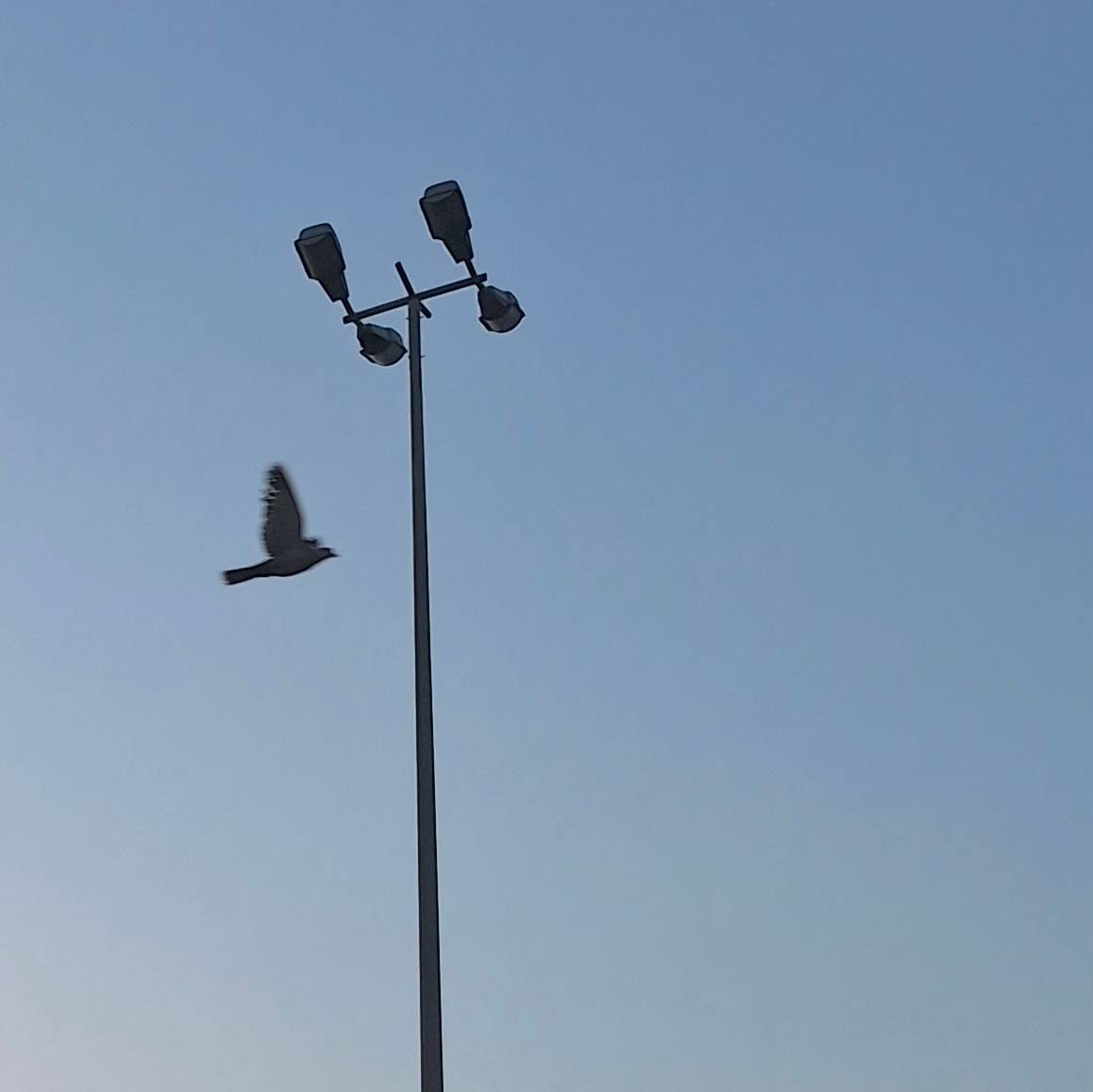 Husna Muhammad - Subjektiv.art