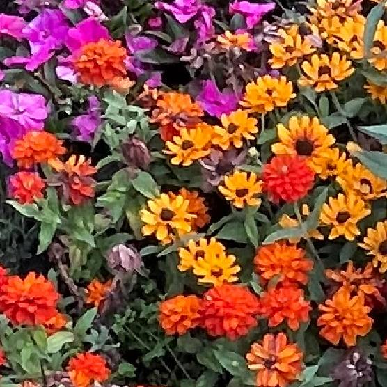 Zohreh Fattah - Subjektiv.art